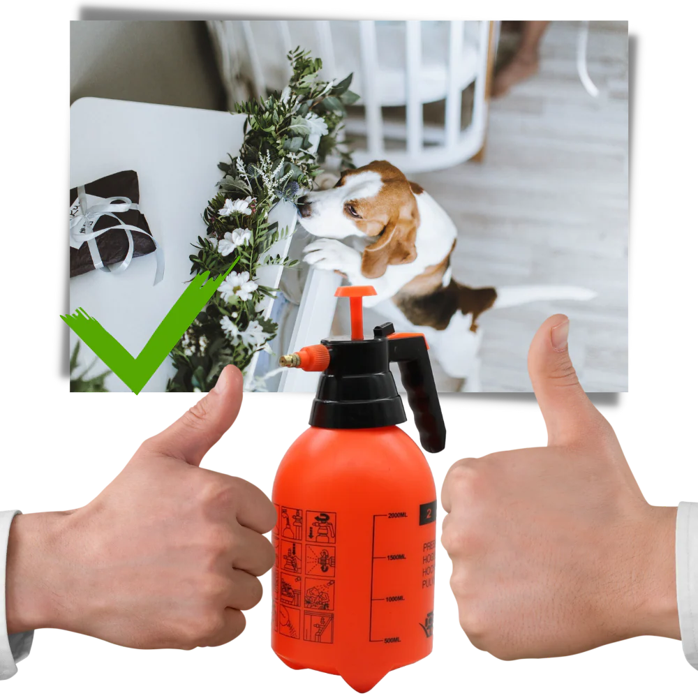 Pulvérisateur de jardin à pompe – Image 8