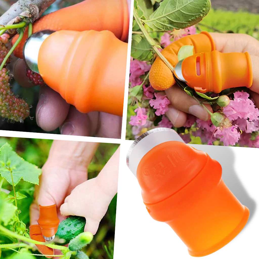 Couteau de jardinage – Image 2