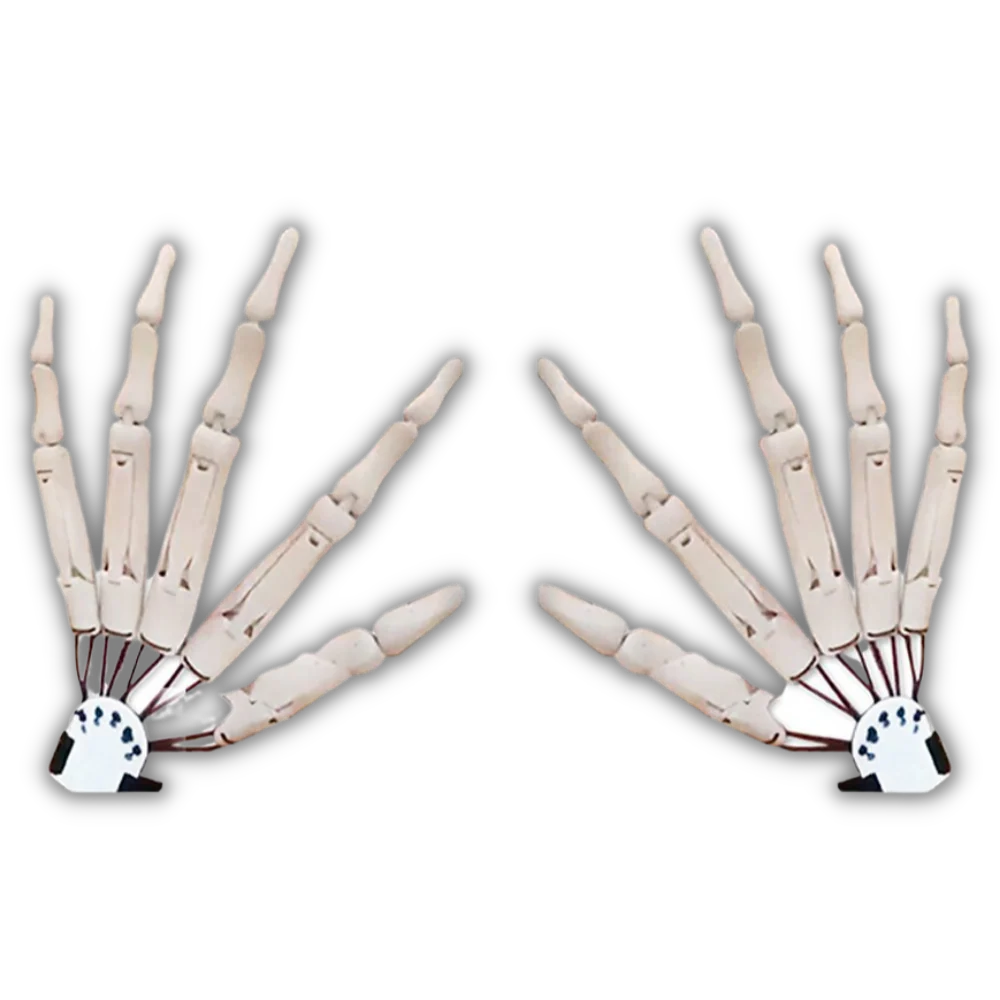 Gants mains de squelette – Image 3