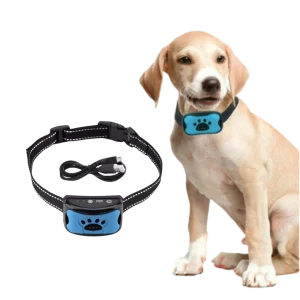 Collier anti-aboiement