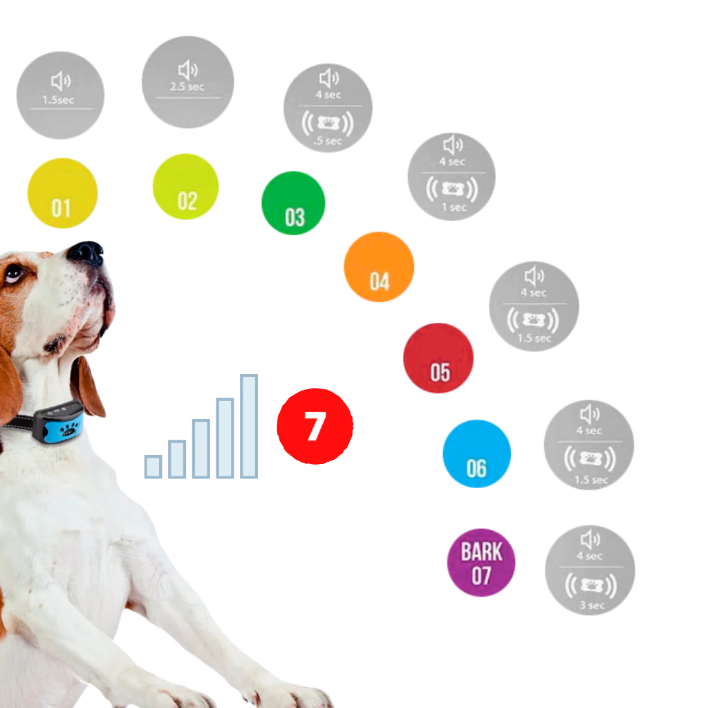 Collier anti-aboiement – Image 7