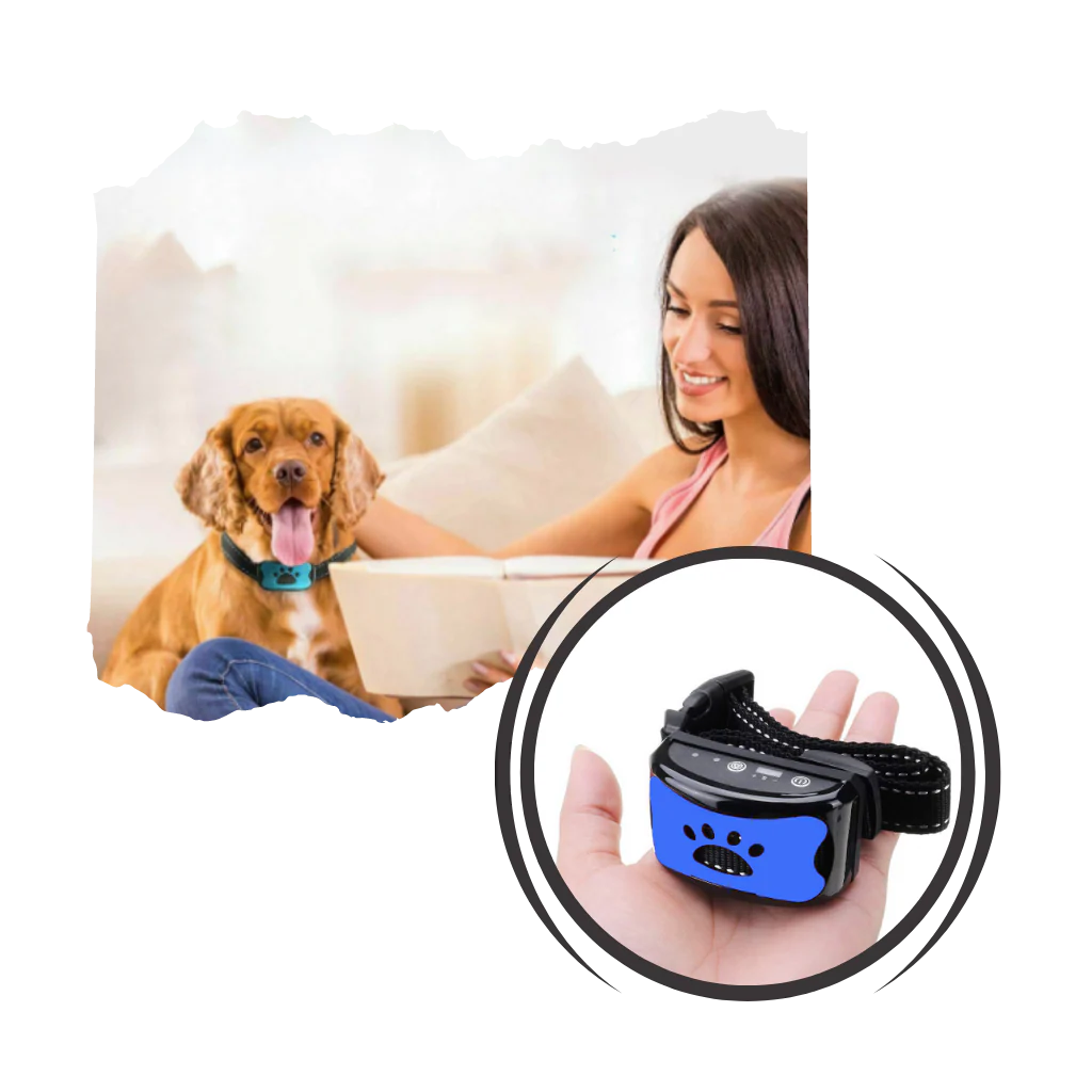 Collier anti-aboiement – Image 4