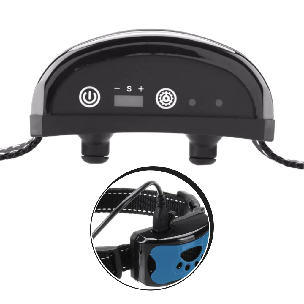 Collier anti-aboiement – Image 8