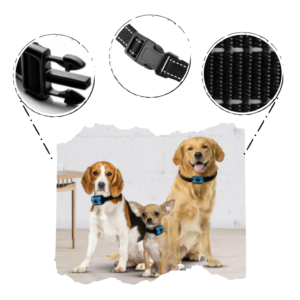 Collier anti-aboiement – Image 5