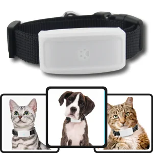 Collier de repérage gps pour animaux de compagnie