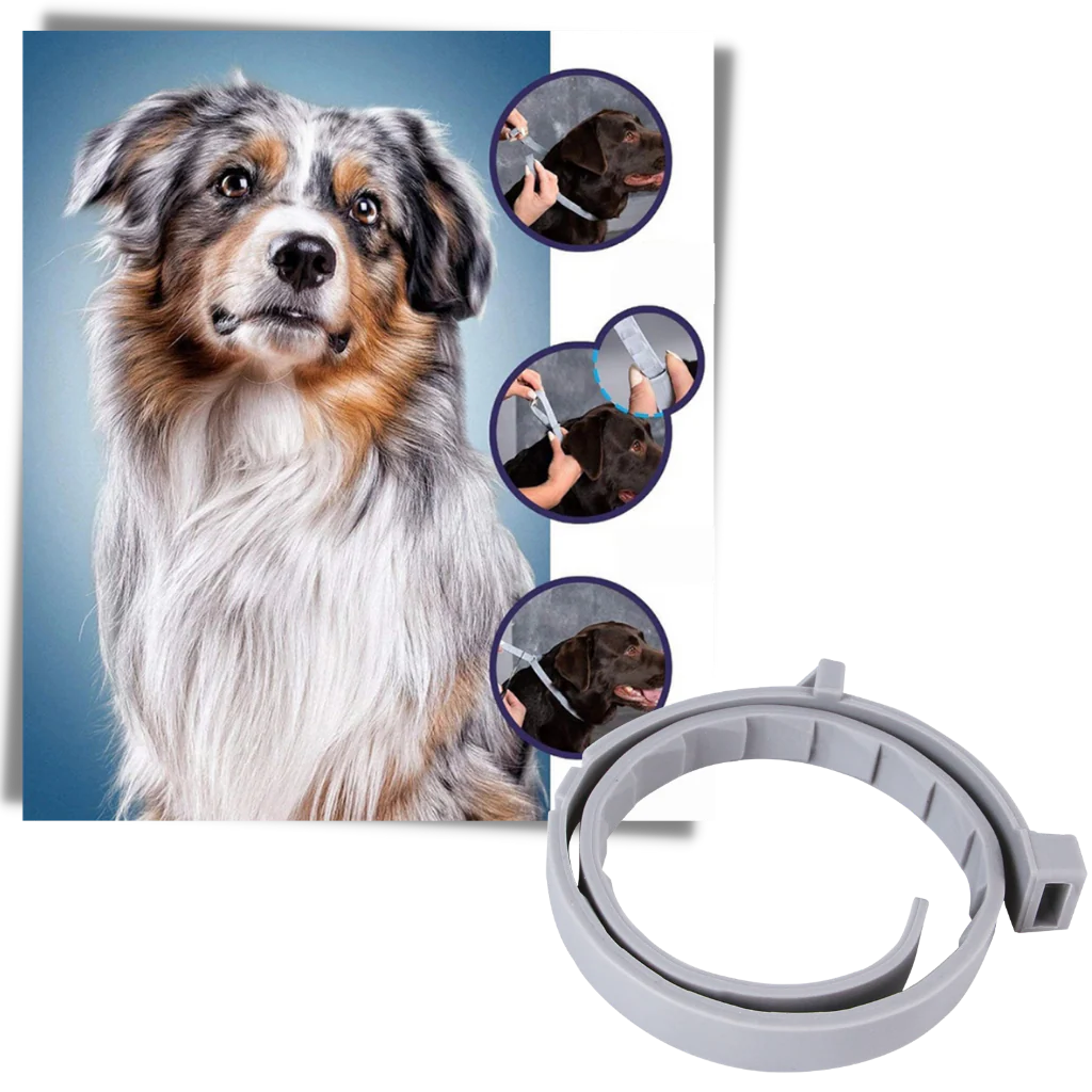 Collier anti-puces pour animaux de compagnie – Image 8