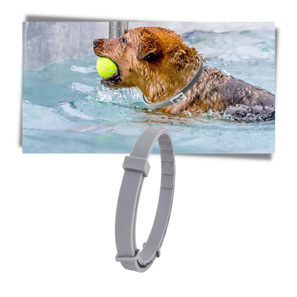Collier anti-puces pour animaux de compagnie – Image 7