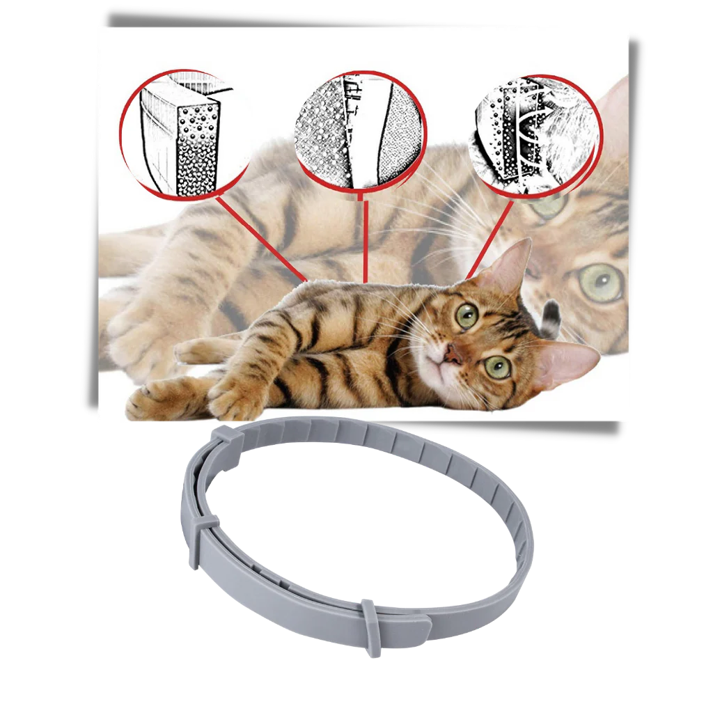 Collier anti-puces pour animaux de compagnie – Image 4