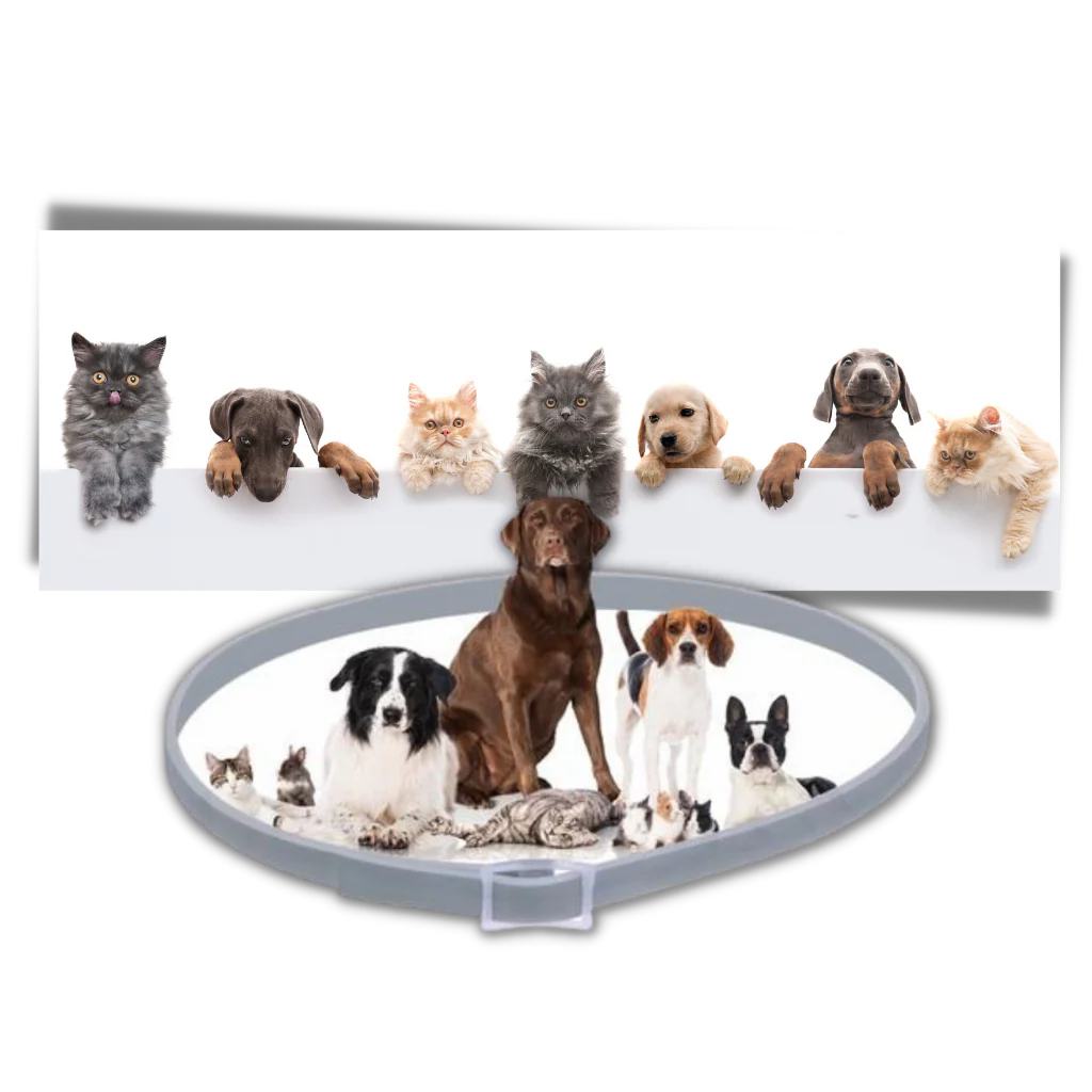 Collier anti-puces pour animaux de compagnie – Image 5