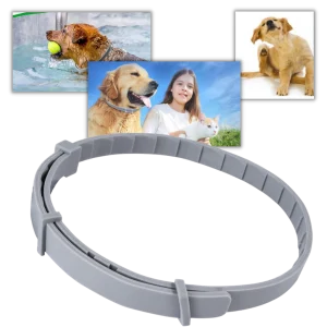 Collier anti-puces pour animaux de compagnie