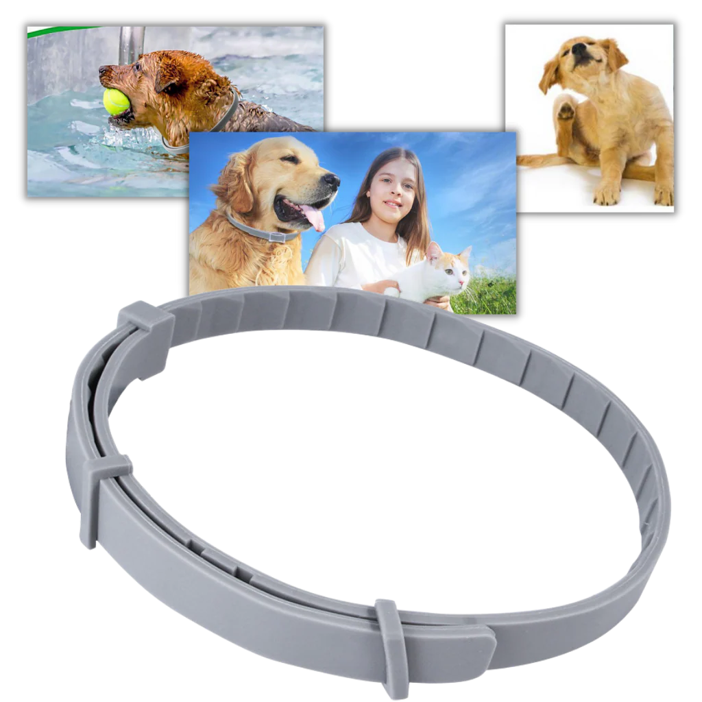 Collier anti-puces pour animaux de compagnie