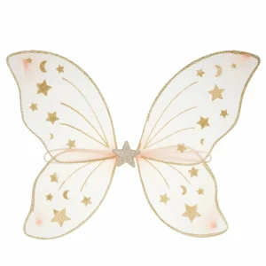 Ailes Starry Night rose