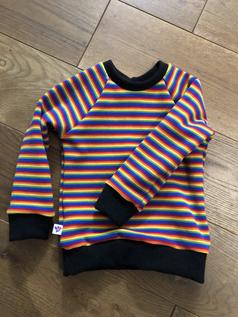 Pull Raglan 100% laine Mérinos RAINBOW – Humbird – Image 3