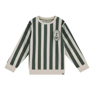 Sweatshirt rayé bouteille