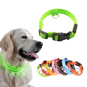 Collier lumineux pour animaux rechargeable par USB