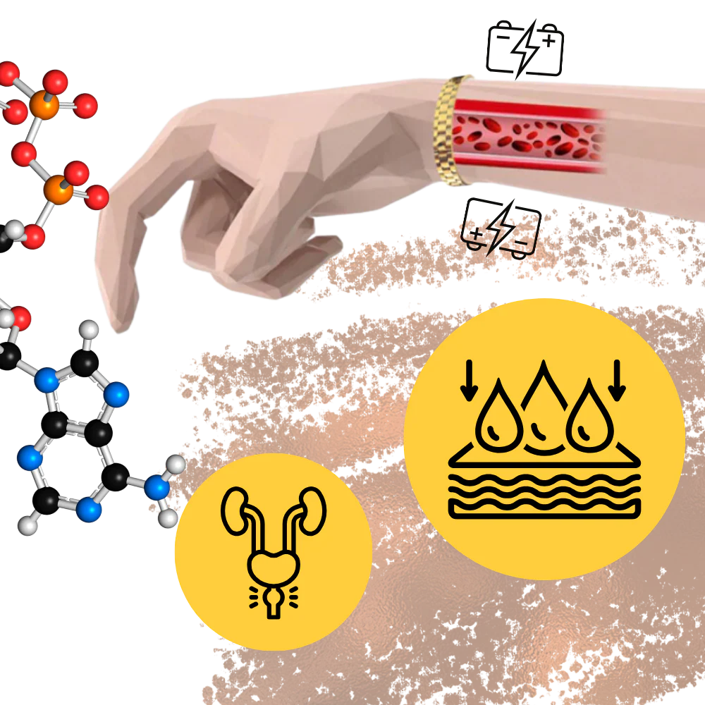 Bracelet de thérapie magnétique en cuivre – Image 5