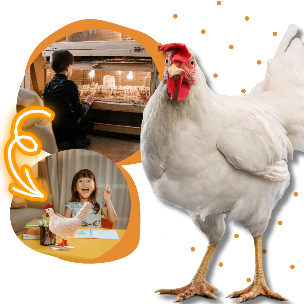 Lampe douce en forme de poule – Image 5