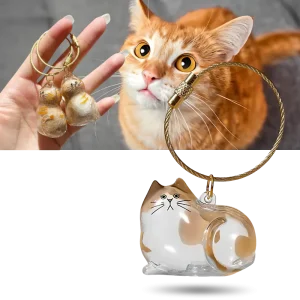 Porte-clés capsule poils de chat