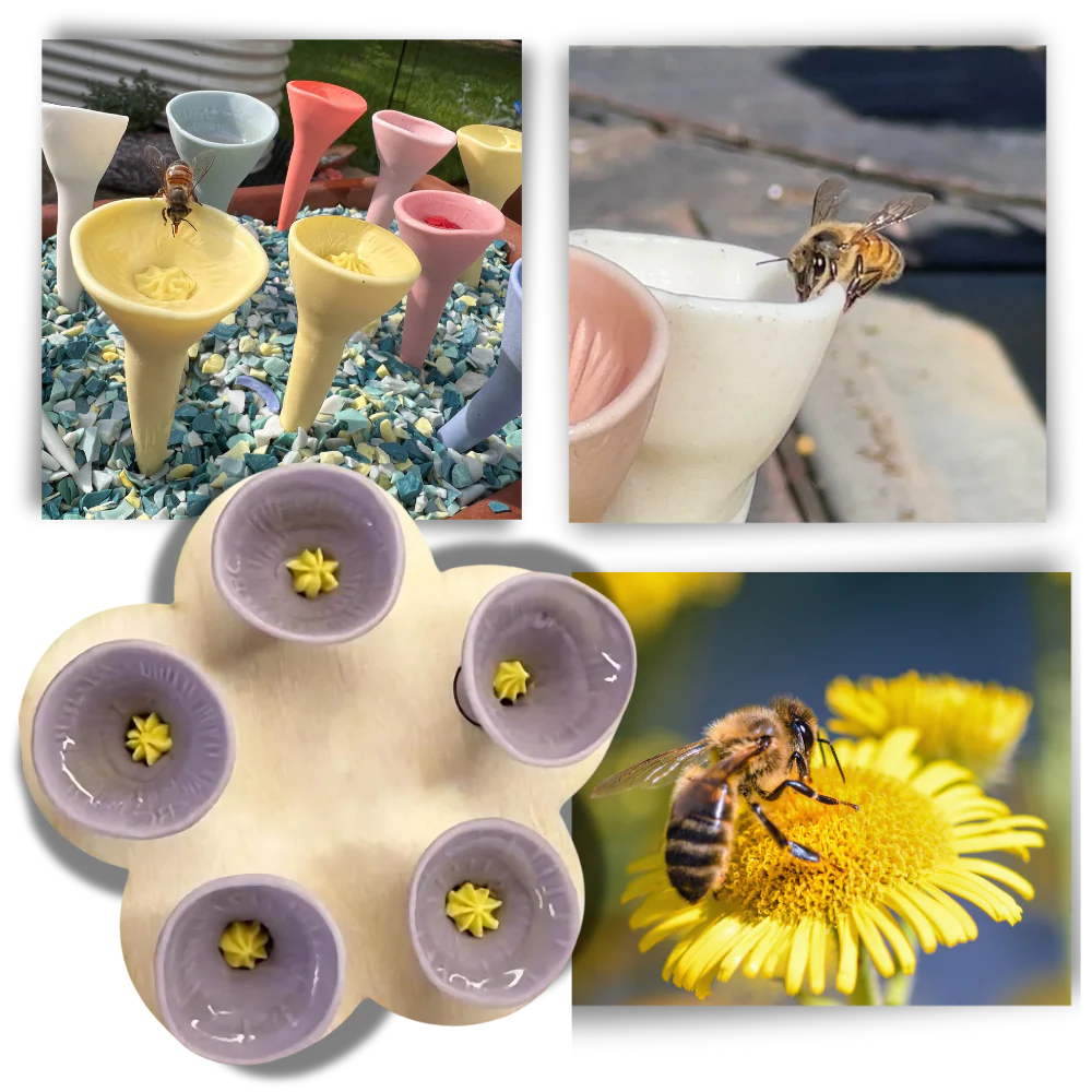 Abreuvoirs pour abeilles discrets et attrayants
