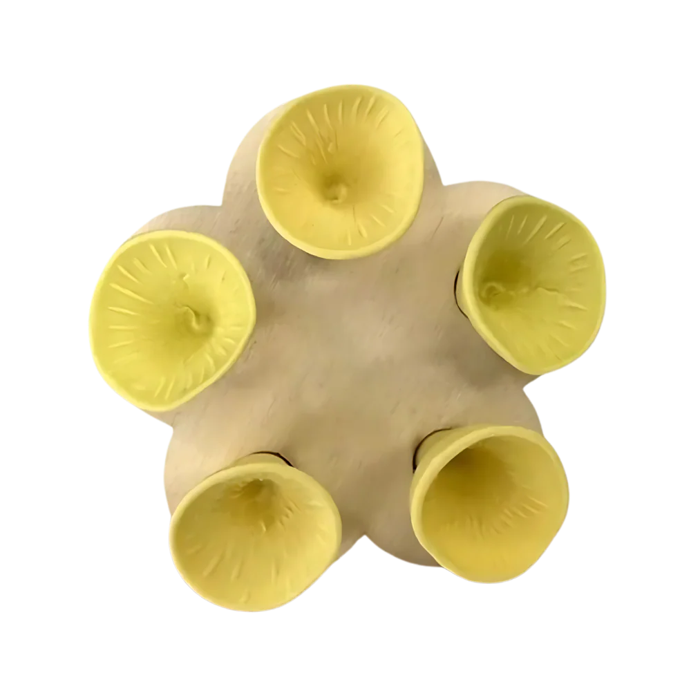 Abreuvoirs pour abeilles discrets et attrayants – Image 3