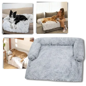 Protège-meubles apaisant pour chiens