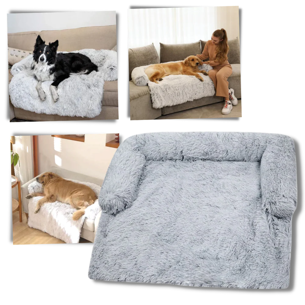 Protège-meubles apaisant pour chiens – Image 2