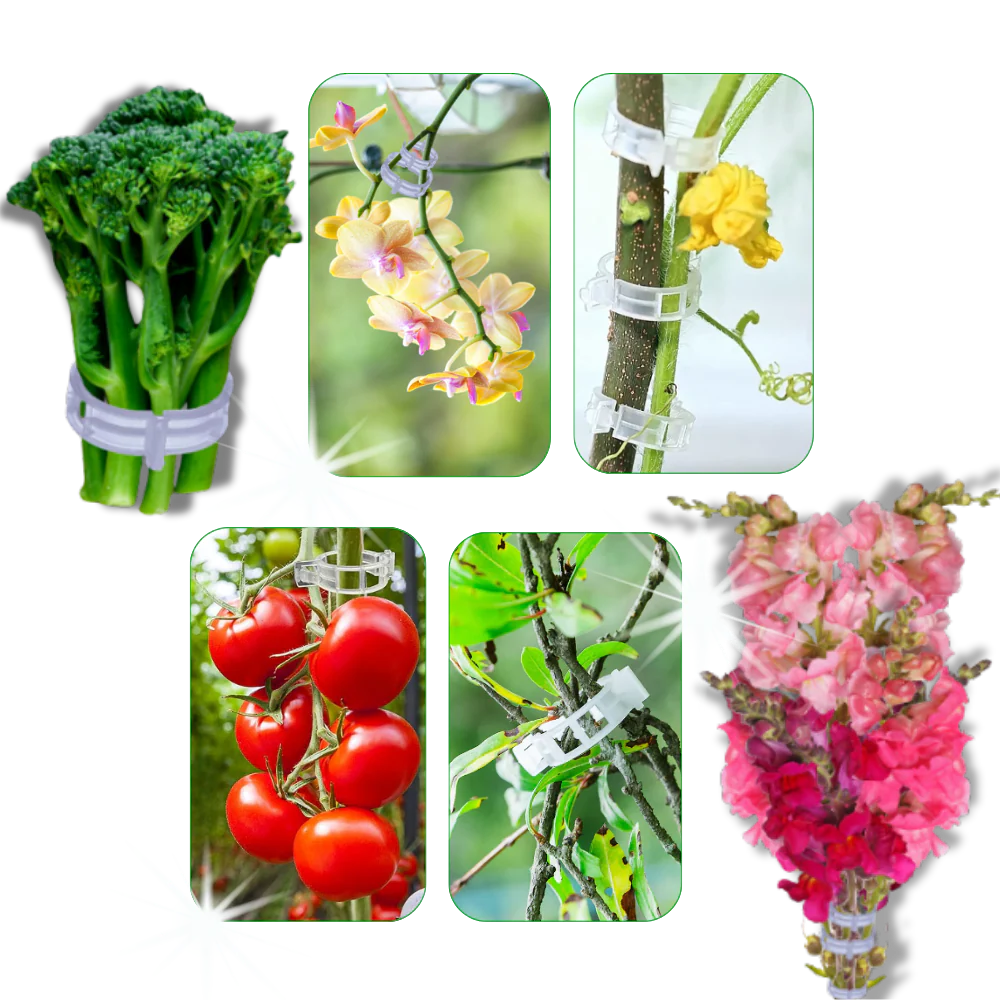 Support de plantes facile à clipser – Image 8