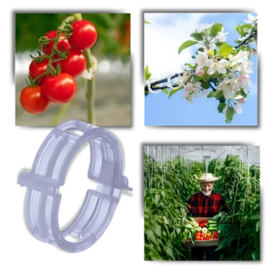 Support de plantes facile à clipser