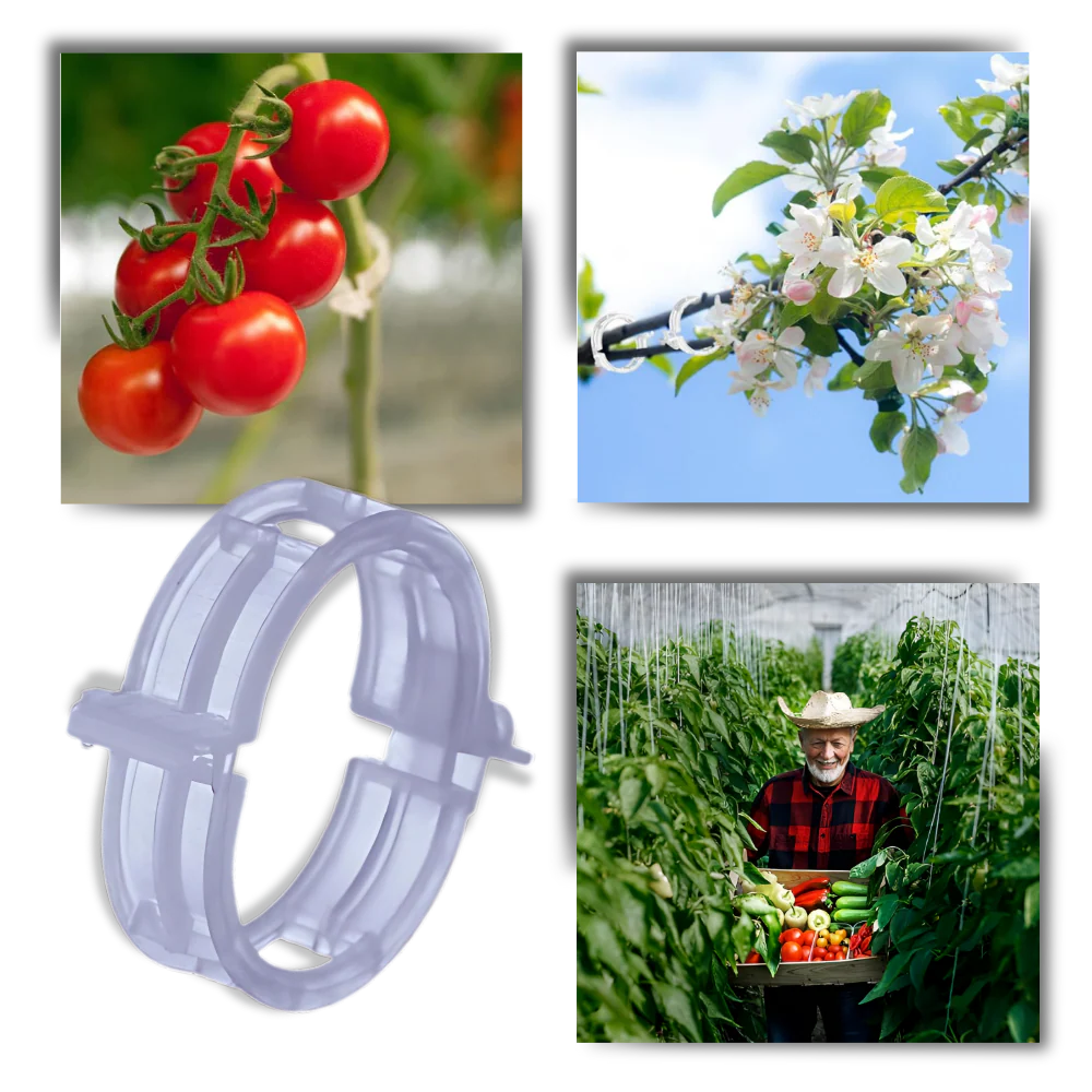 Support de plantes facile à clipser – Image 2