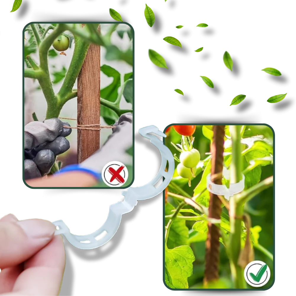 Support de plantes facile à clipser – Image 7