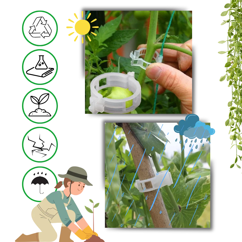 Support de plantes facile à clipser – Image 6