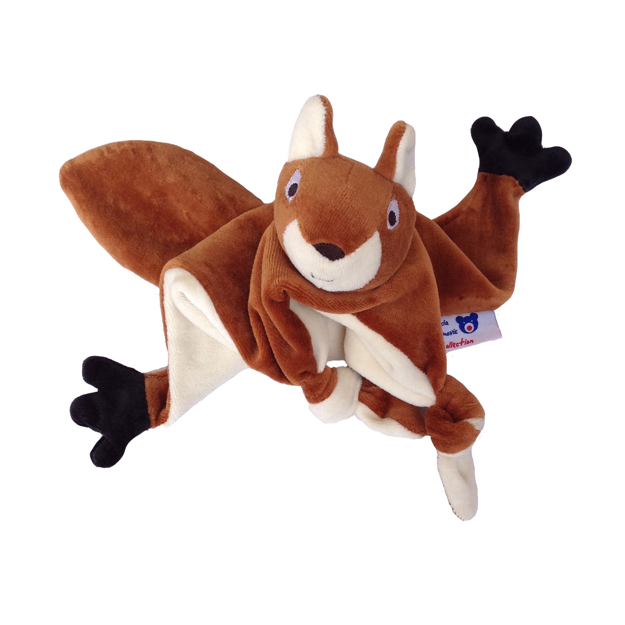 Écureuil brun Polatouche – Image 2