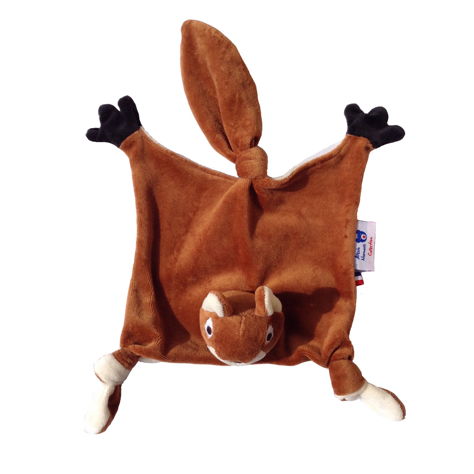 Écureuil brun Polatouche – Image 4