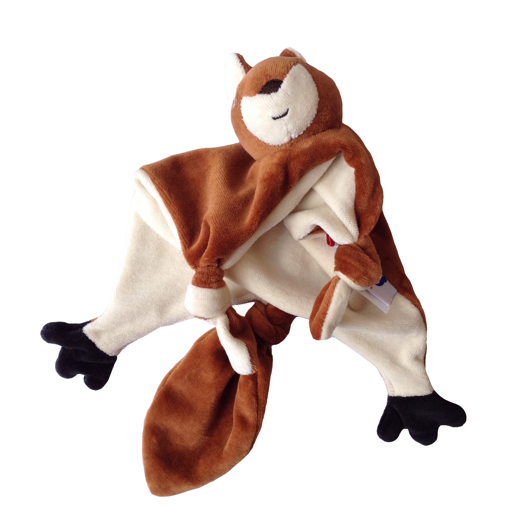 Écureuil brun Polatouche – Image 3