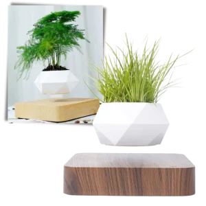 Pot à plante flottant en lévitation