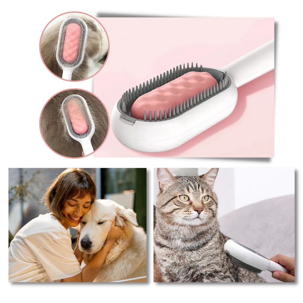 Brosse de toilettage avec réservoir d'eau – Image 7